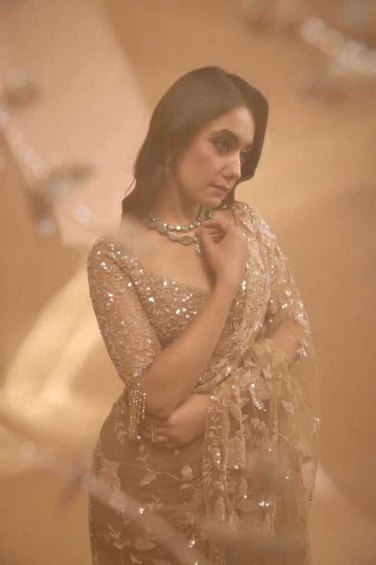 Butterfly Net Multi Sequins Saree