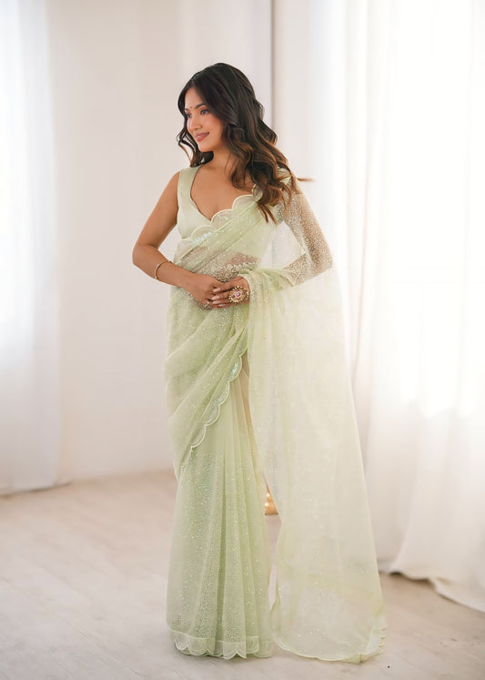 Beautiful Designer Net Saree With Elegant Sequin Work
