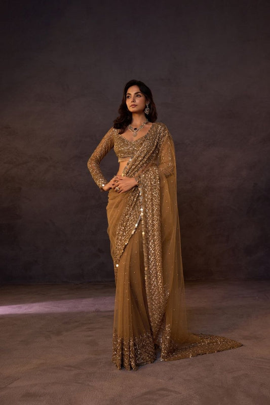Unique Chiku Butterfly Net Sequence Work Saree