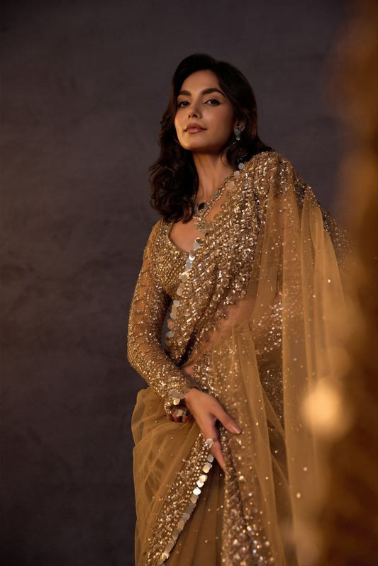 Unique Chiku Butterfly Net Sequence Work Saree