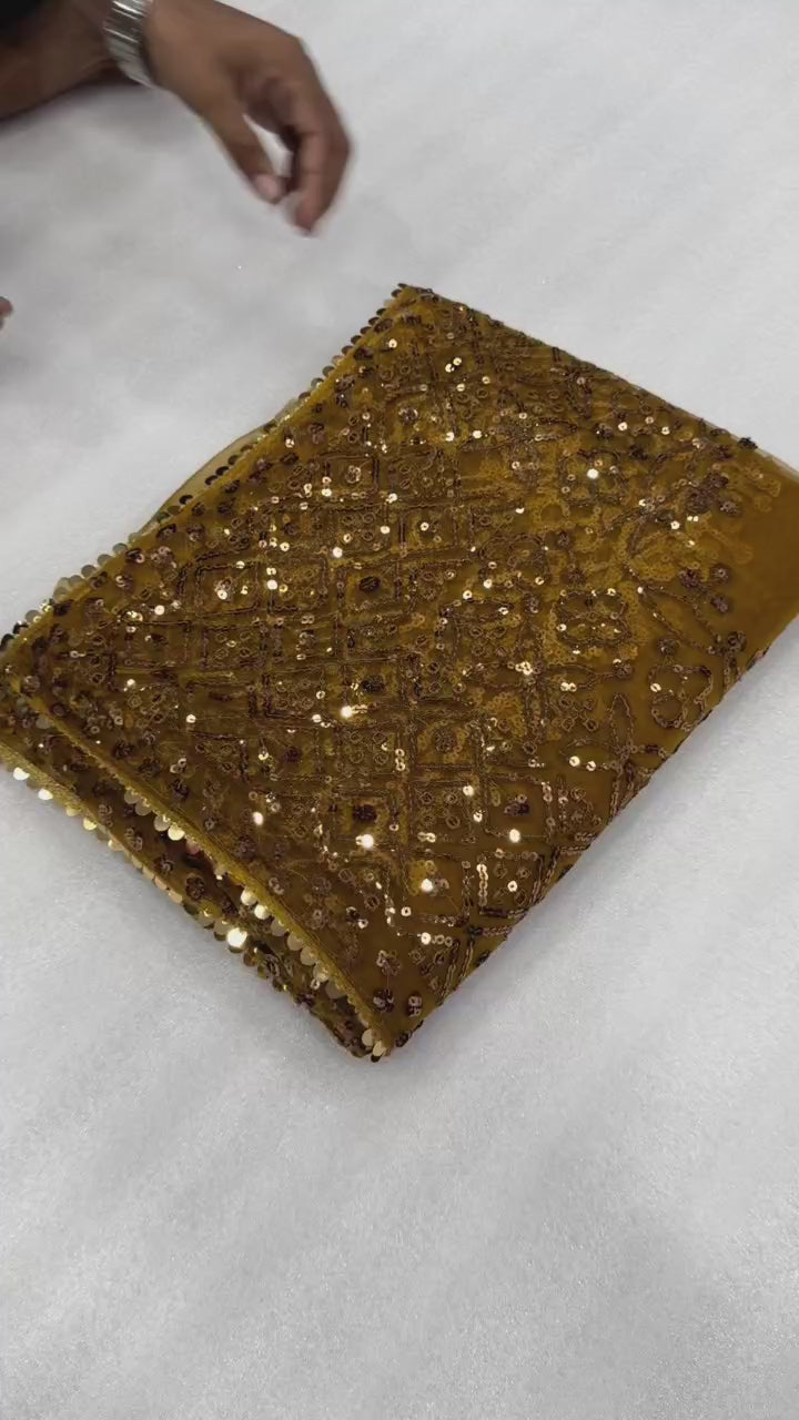 Unique Chiku Butterfly Net Sequence Work Saree