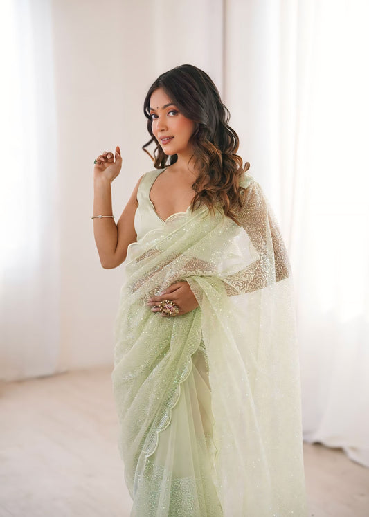 Beautiful Designer Net Saree With Elegant Sequin Work